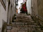 Dans ce vieux quartier délabré, les rues étaient bordées de bâtiments endommagés. 