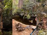 Biodome 1