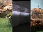 Biodome 3