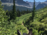Aventure à dos de cheval.