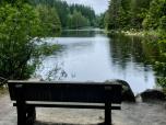 L'emblématique parc Stanley, une oasis urbaine qui s'étend le long de la ville, m'a attiré. 