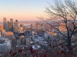 Le crépuscule approchant, Émile gravit les hauteurs de l'observatoire de la ville.