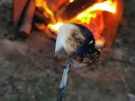 Ils ont fait griller des guimauves sur de longs bâtons, les regardant prendre une teinte dorée et déborder de douceur.