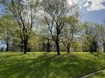 Les grands arbres, dont certains se dressent comme des gardiens stoïques de la nature, apportent une ombre fraîche et diffuse qui rend la chaleur de la journée parfaitement agréable. 