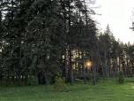Le parc, connu pour sa taille magnifique et ses paysages pittoresques, m’a immédiatement captivé par ses teintes vibrantes et son ambiance tranquille.