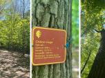 Tout au long du trajet, grâce à des affiches, nous étions conviés à lire au sujet des arbres, des plantes, des animaux et même de faits historiques liés à l’endroit où nous nous trouvions.