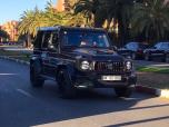 Pour quelqu'un comme moi qui souhaite une voiture performante, ce G-Class représente le parfait équilibre entre luxe et capacité tout-terrain.