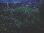 Pluie: C'est par des jours comme celui-ci que nous nous retrouvons pris dans les griffes de la mélancolie, notre esprit étant assombri par la morosité qui nous entoure.