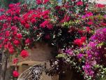 Ornée d'une ferronnerie complexe et entrelacée de magnifiques roses de toutes les couleurs, cette porte était un chef-d'œuvre de la collaboration entre la nature et l'artisanat humain.