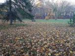 Même le sol est plus coloré à l'automne!