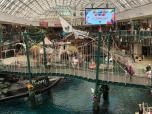  En réfléchissant à sa journée au West Edmonton Mall, il éprouva un profond sentiment de gratitude pour les moments de joie, de frisson et de simple amusement qu'il a vécus.