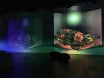 Oasis immersion : un art à la fine pointe de la technologie