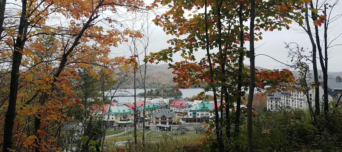 Emily avait entendu parler d'une montagne mystique qui ne révélait sa véritable splendeur qu'à l'automne.