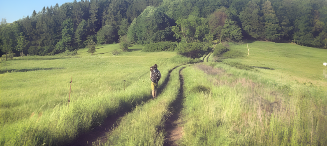 Aventure à travers une forêt du sud de la France. Aventure à travers une forêt du sud de la France.