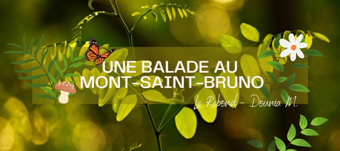 S’évader dans la nature tout en enrichissant ses connaissances, c’est ce que propose les randonnées des collines montérégiennes. S’évader dans la nature tout en enrichissant ses connaissances, c’est ce que propose les randonnées des collines montérégiennes.