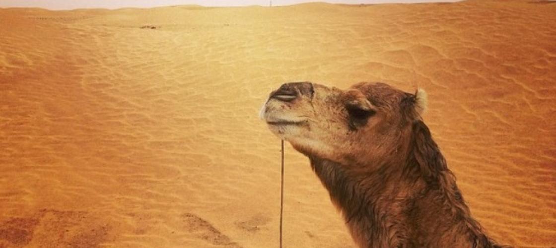 Le Ramadan a toujours été une période spéciale de l'année pour les habitants de la petite ville d'Al-Hamra.