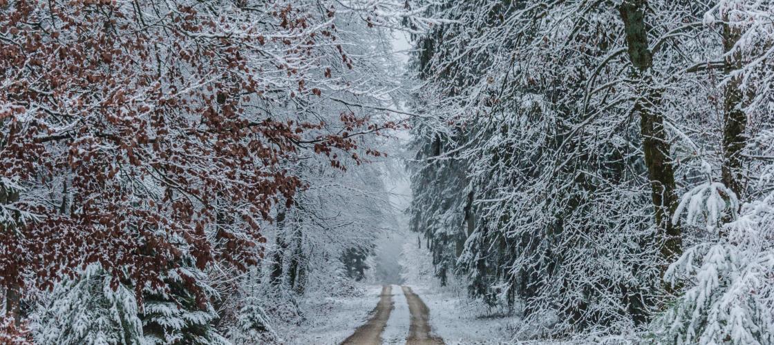 Oh que j’aime l’hiver!