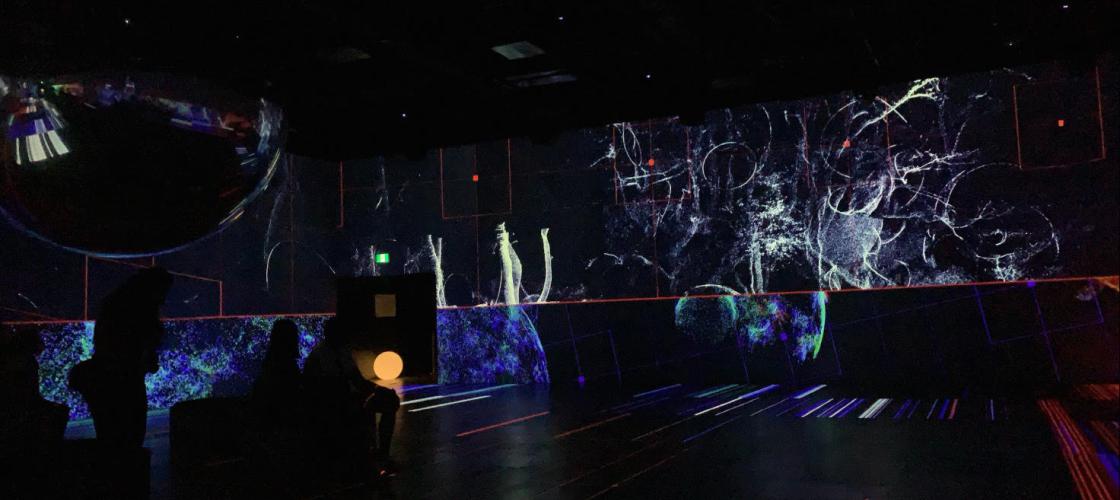 Oasis immersion : un art à la fine pointe de la technologie