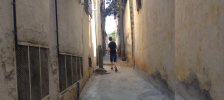 Nous nous précipitions dans les ruelles étroites, derrière les vieux murs de pierre et les portes colorées, en essayant d'être plus malins que nos amis.